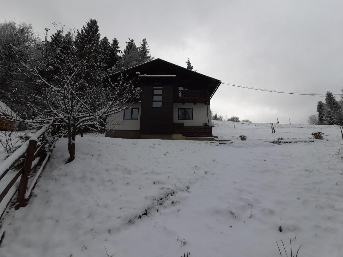 Під Боржавою Pilipets Exterior foto