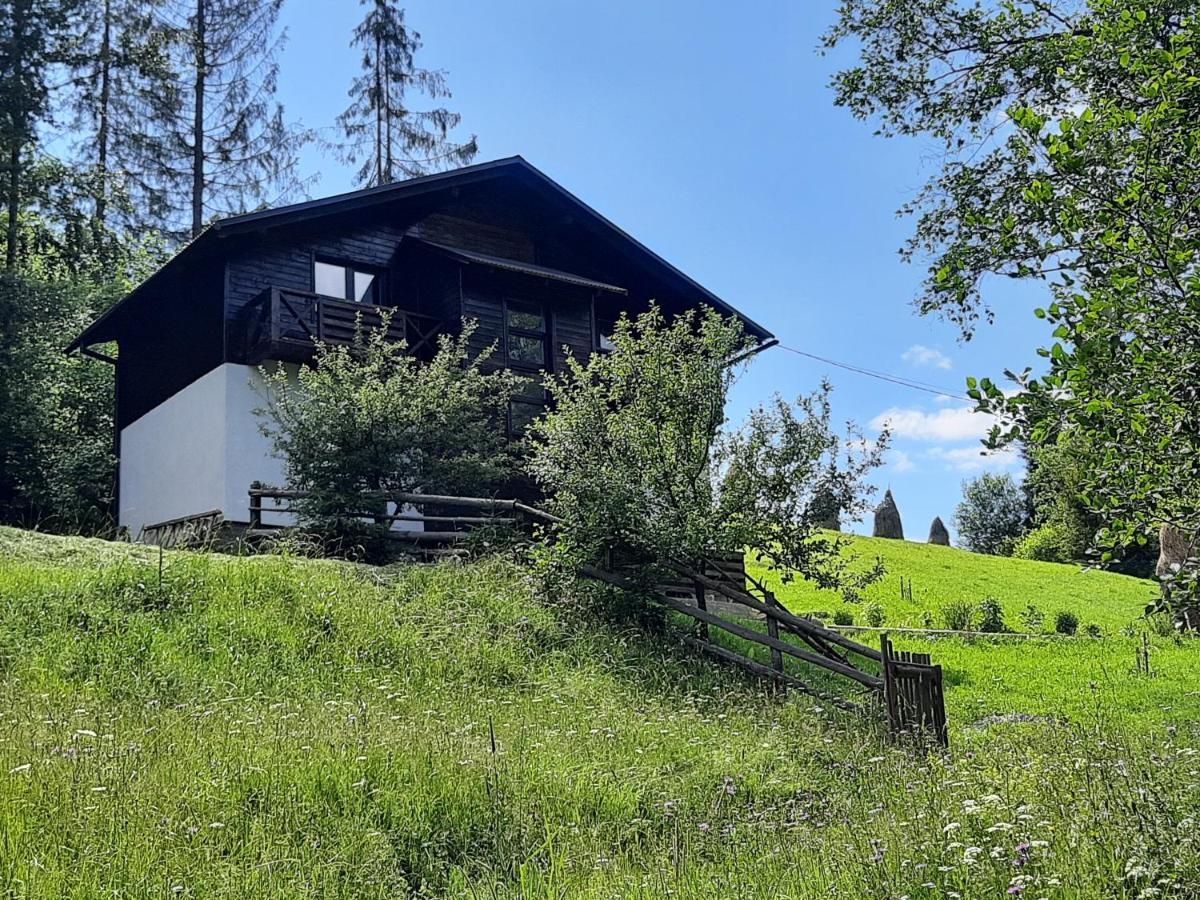 Під Боржавою Pilipets Exterior foto